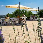 Panorama Gyogycentrum